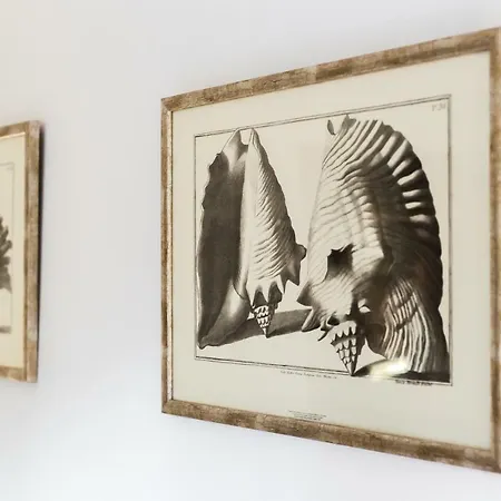 Apartmán Casa Ana *