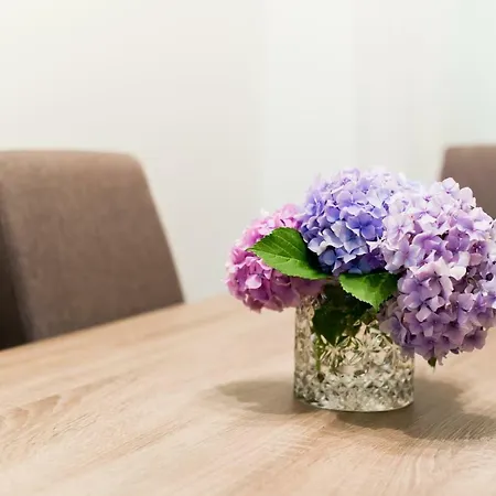 Casa Ana * זאדאר